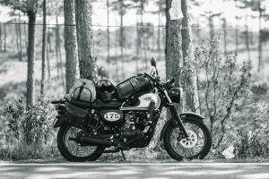 A retro Kawasaki W175 motorcycle parked with bags in a forest setting, in black and white.