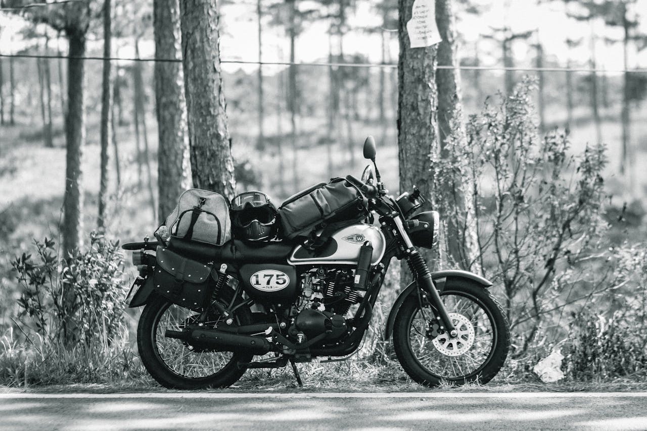 A retro Kawasaki W175 motorcycle parked with bags in a forest setting, in black and white.
